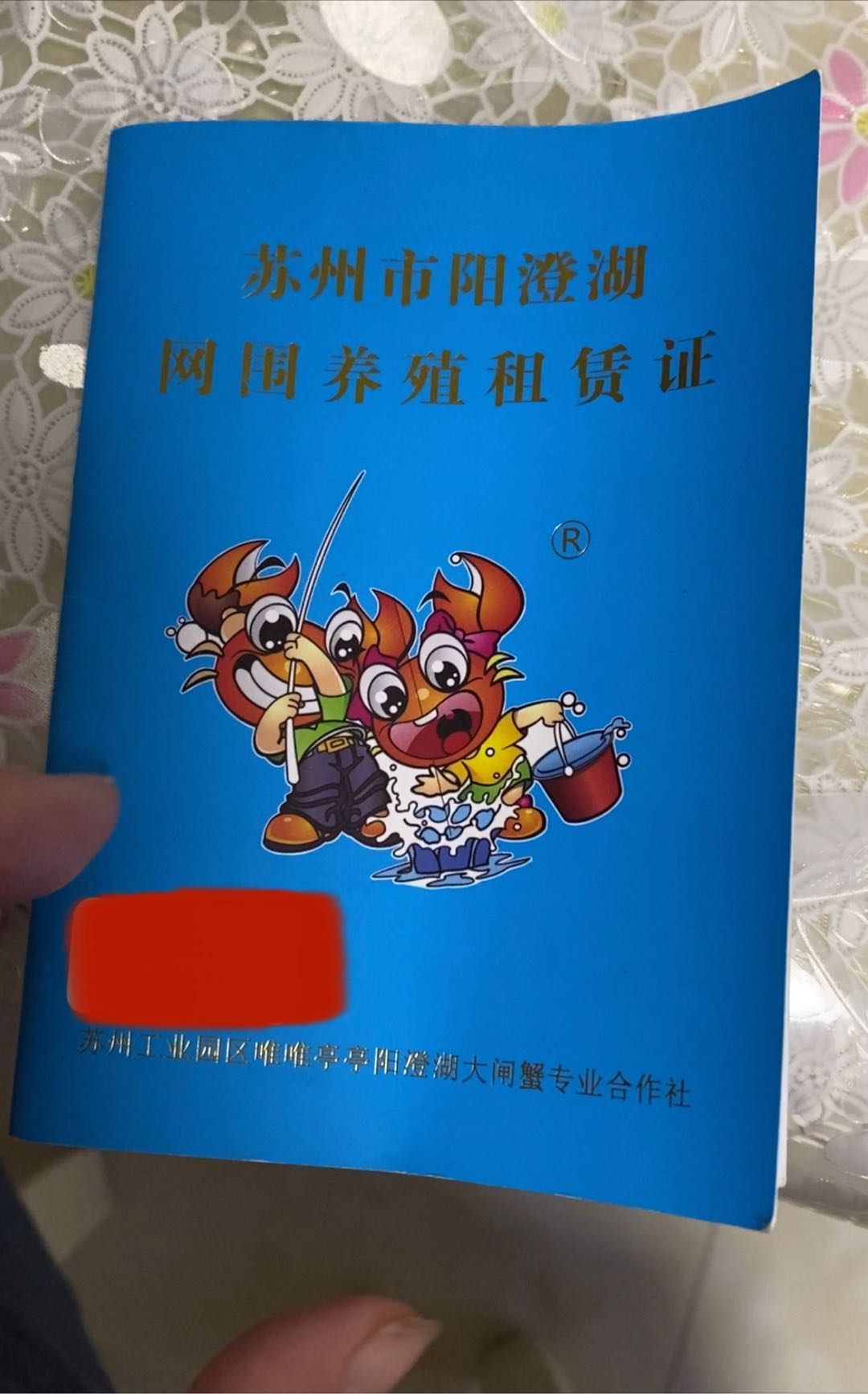 姚远品牌货源阳澄湖大闸蟹湖区养殖蟹农，稳定货源