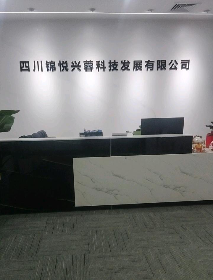 王红莉找合伙人