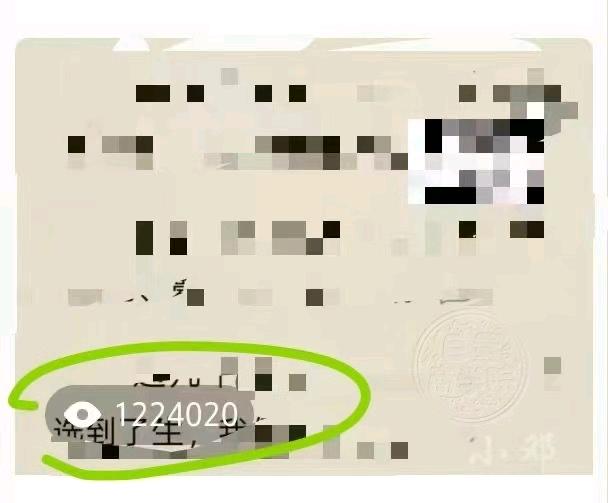 字女士其他供需高佣金小说推文项目 手把手教，半天上手，后续课程免费更新