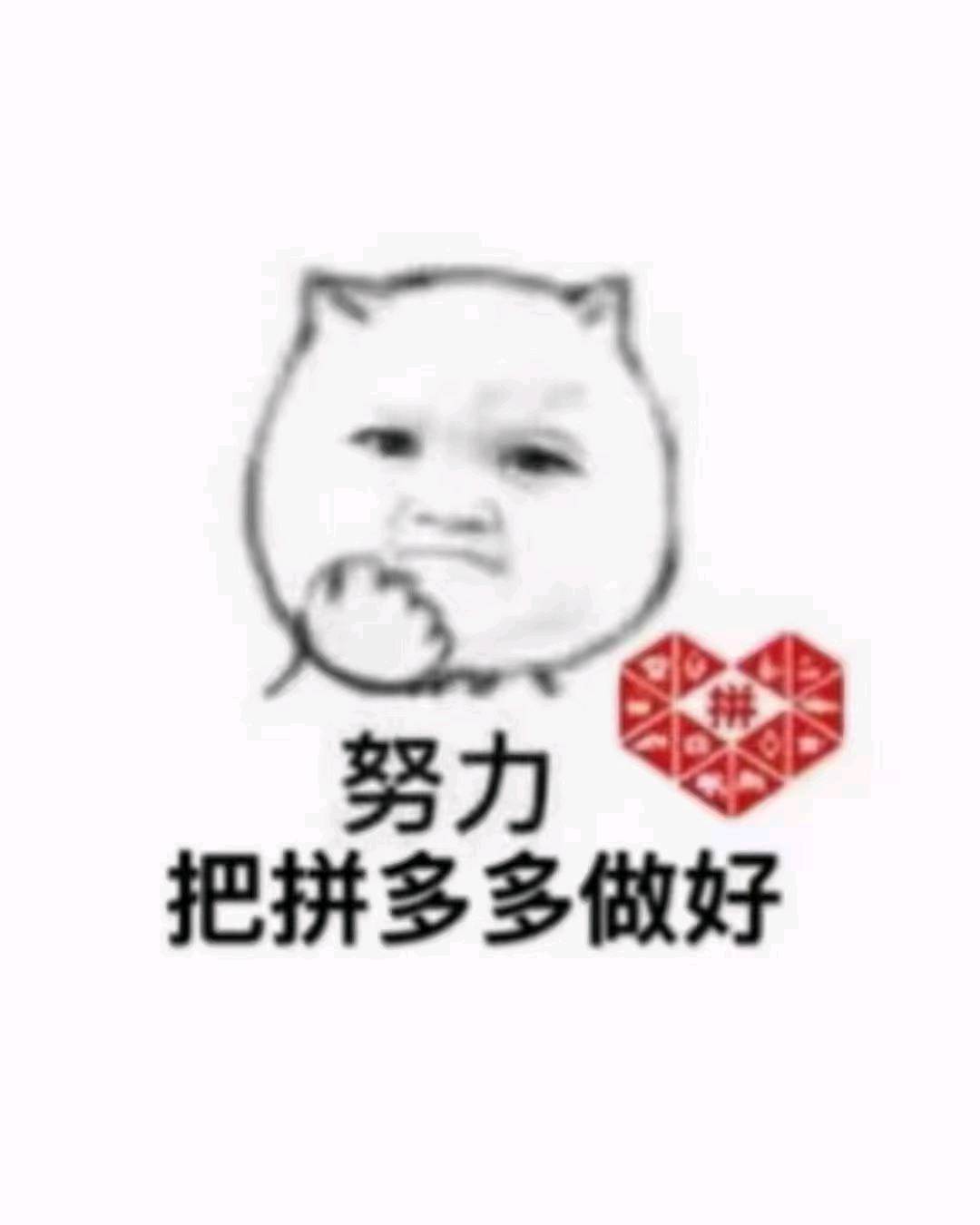 张先生找合伙人