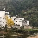u客直谈实名认证俞翠