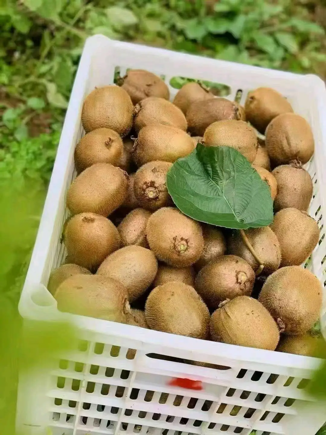 付余馨品牌货源