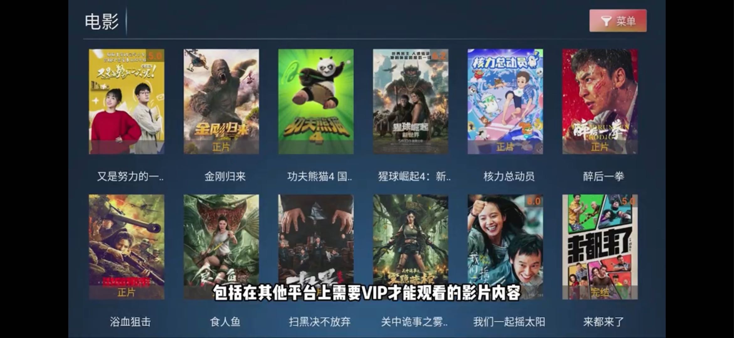 管先生地推项目