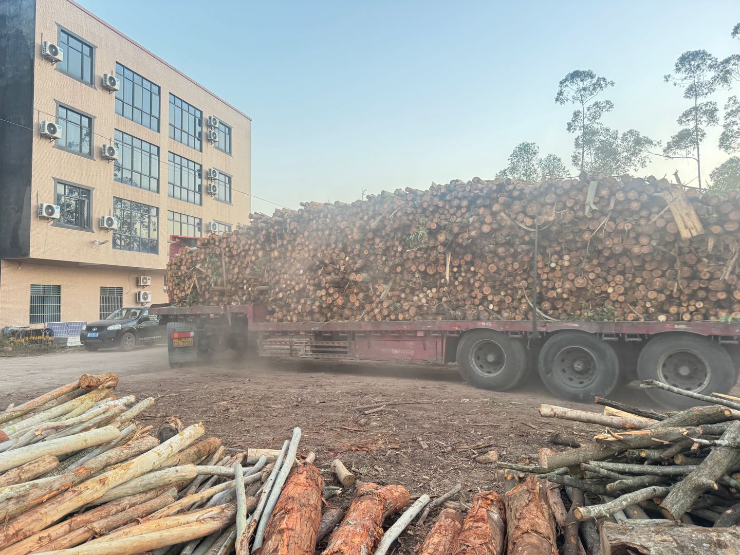 刘钦城其他供需树木