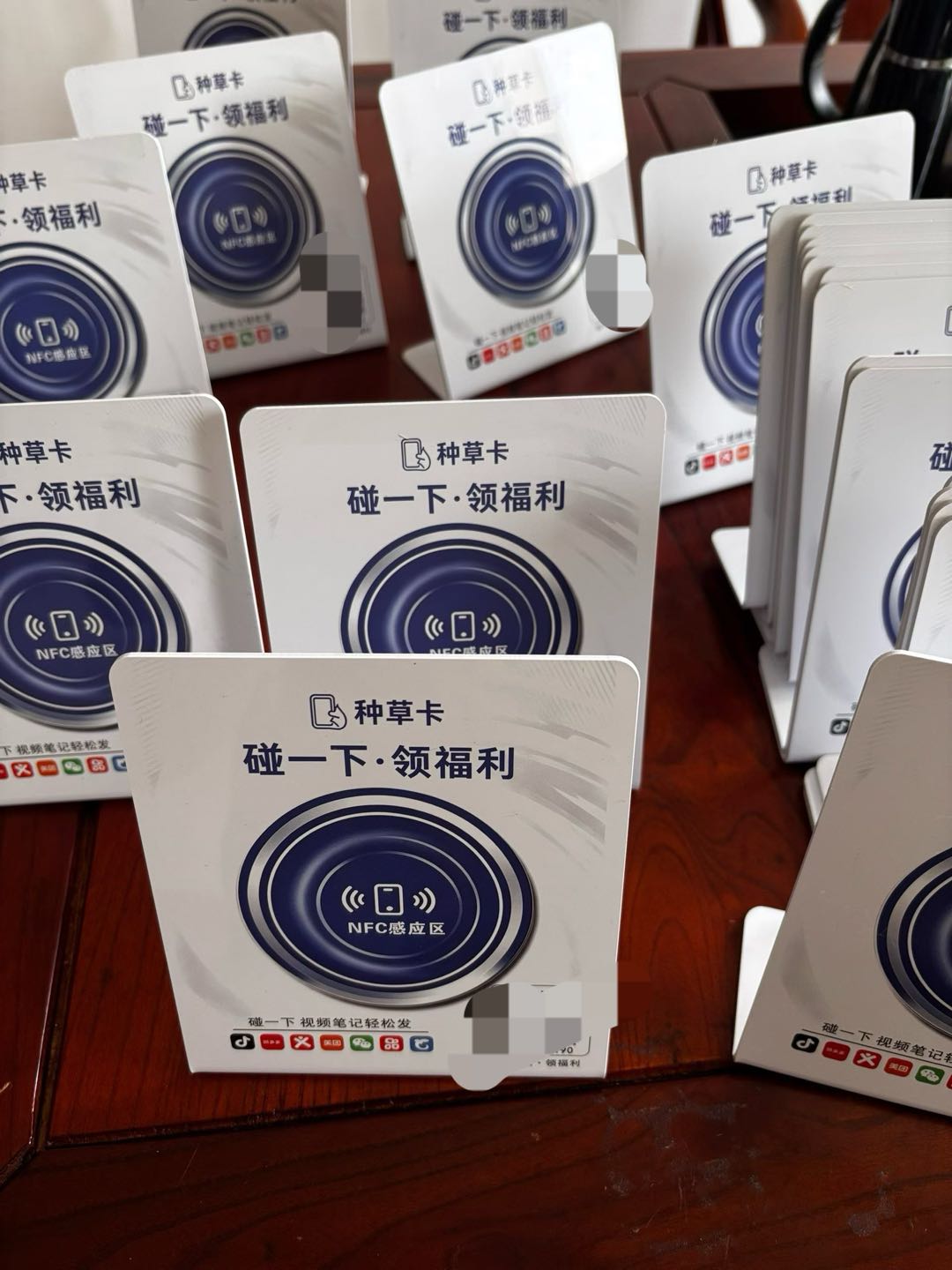 杨宣培地推项目