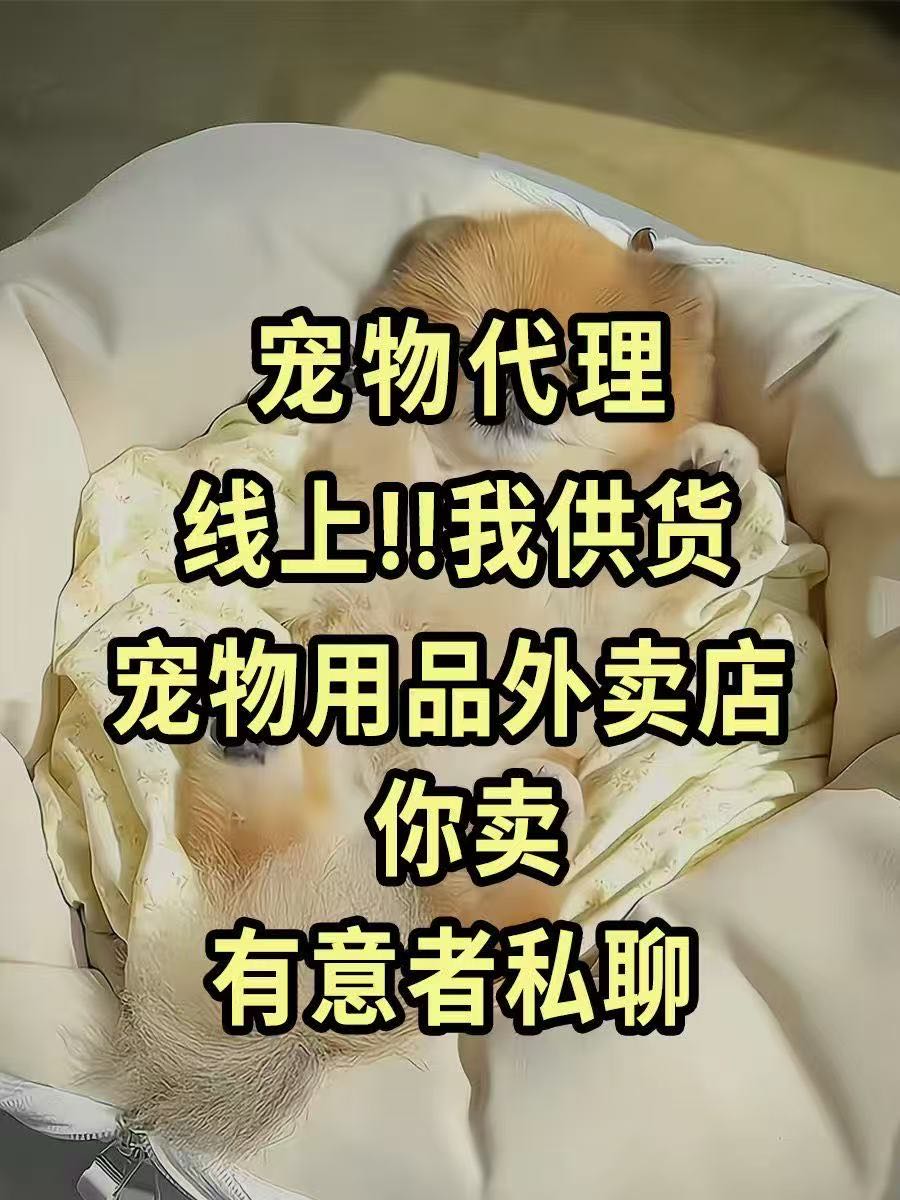 钟芳品牌货源宠物无人仓，低投入轻创业新风口