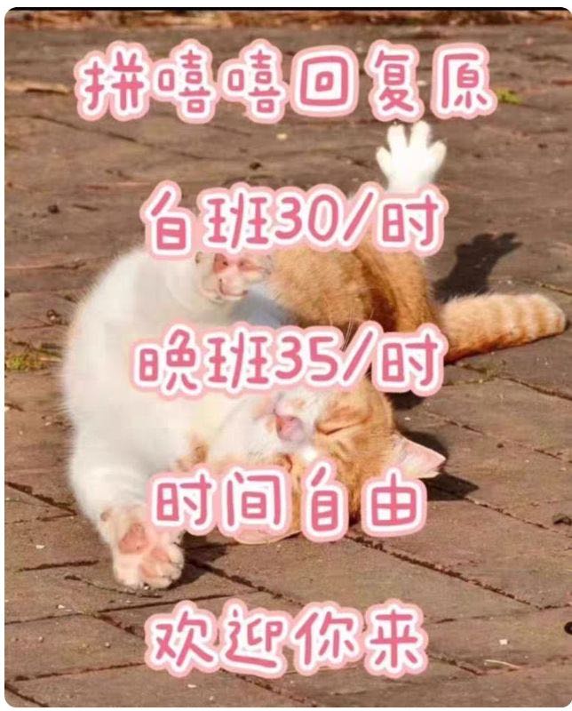 李思琪其他供需拼多多客服兼职，7元/条消息回复，免费参与不收费