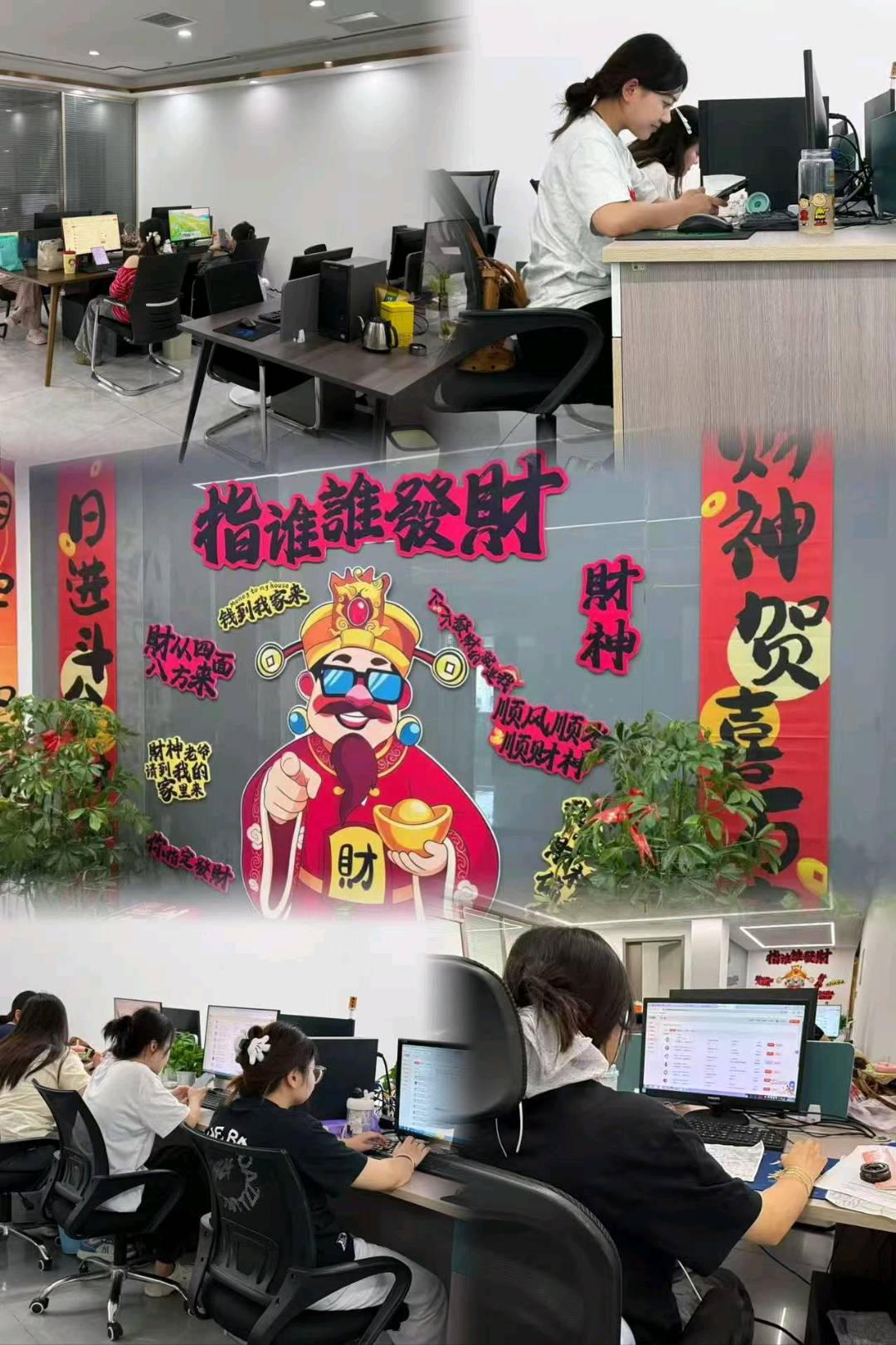 秦女士找合伙人