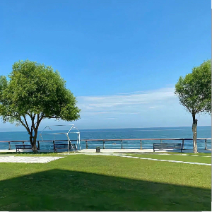 u客直谈实名认证程先生