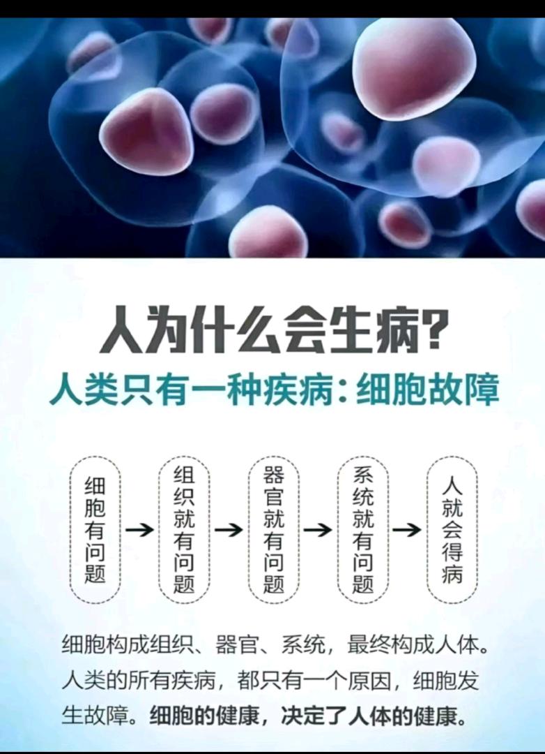 窦先生找合伙人**赛道：抗衰+长寿经济