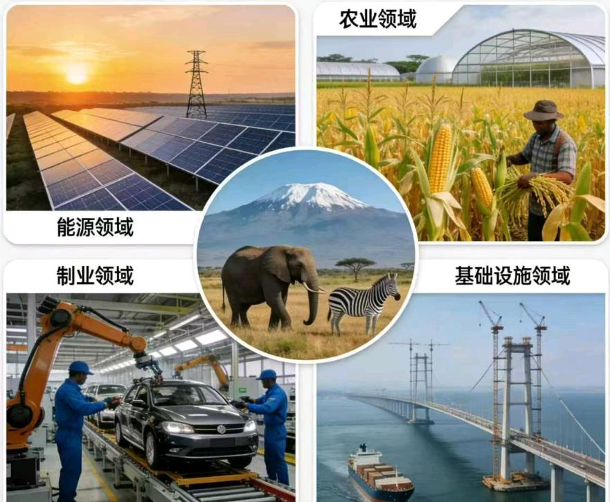 张皎阳其他供需