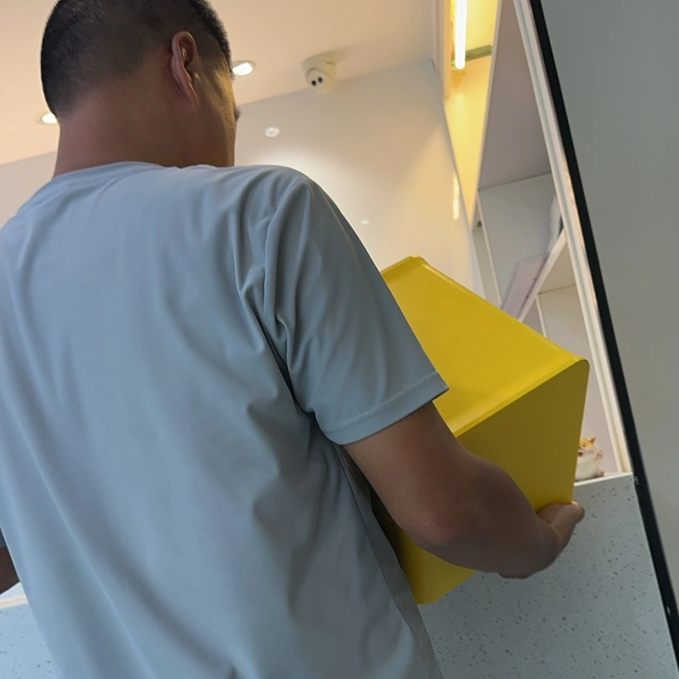 洪智伟