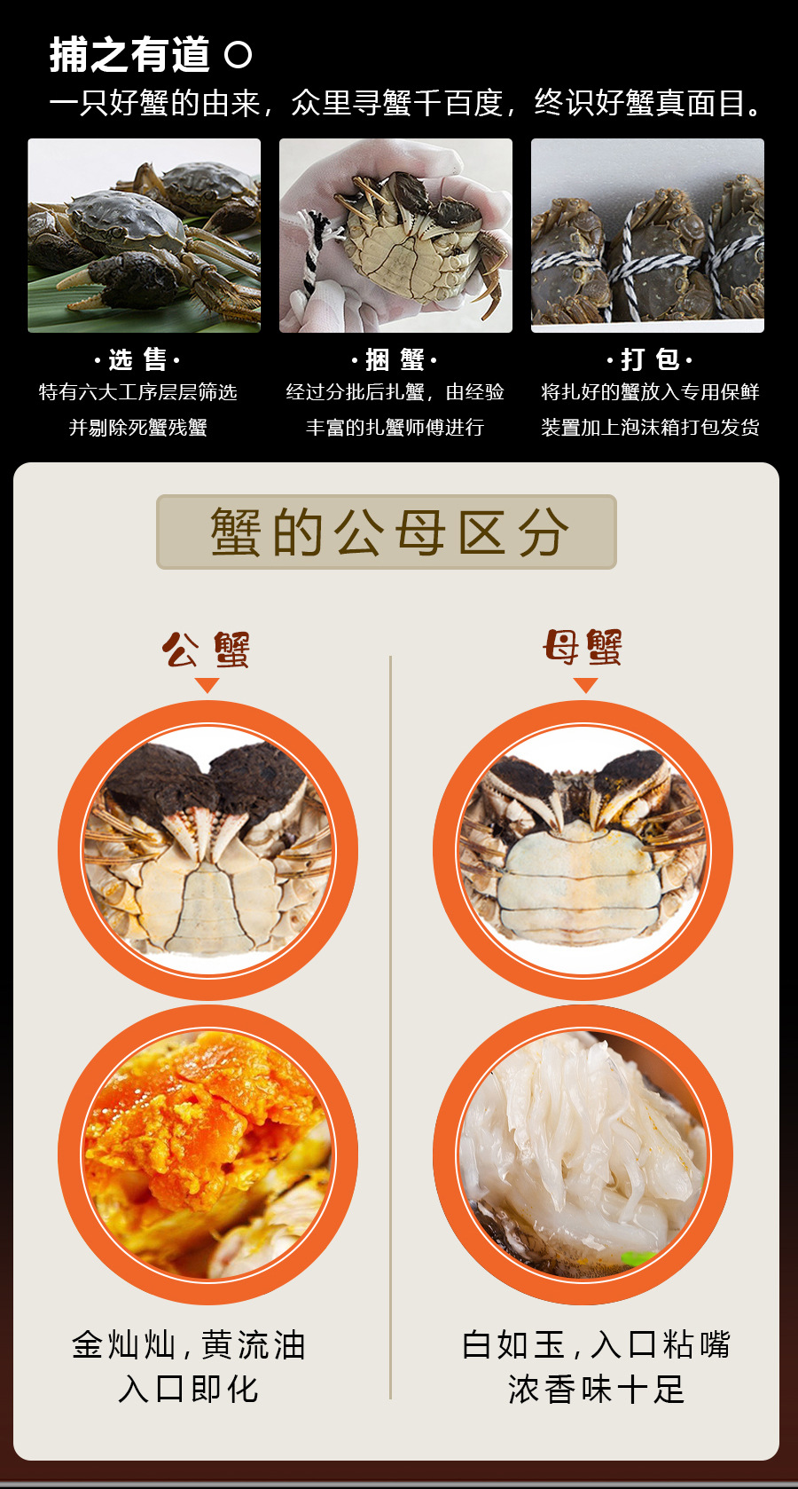 王新龙阳澄湖大闸蟹代理