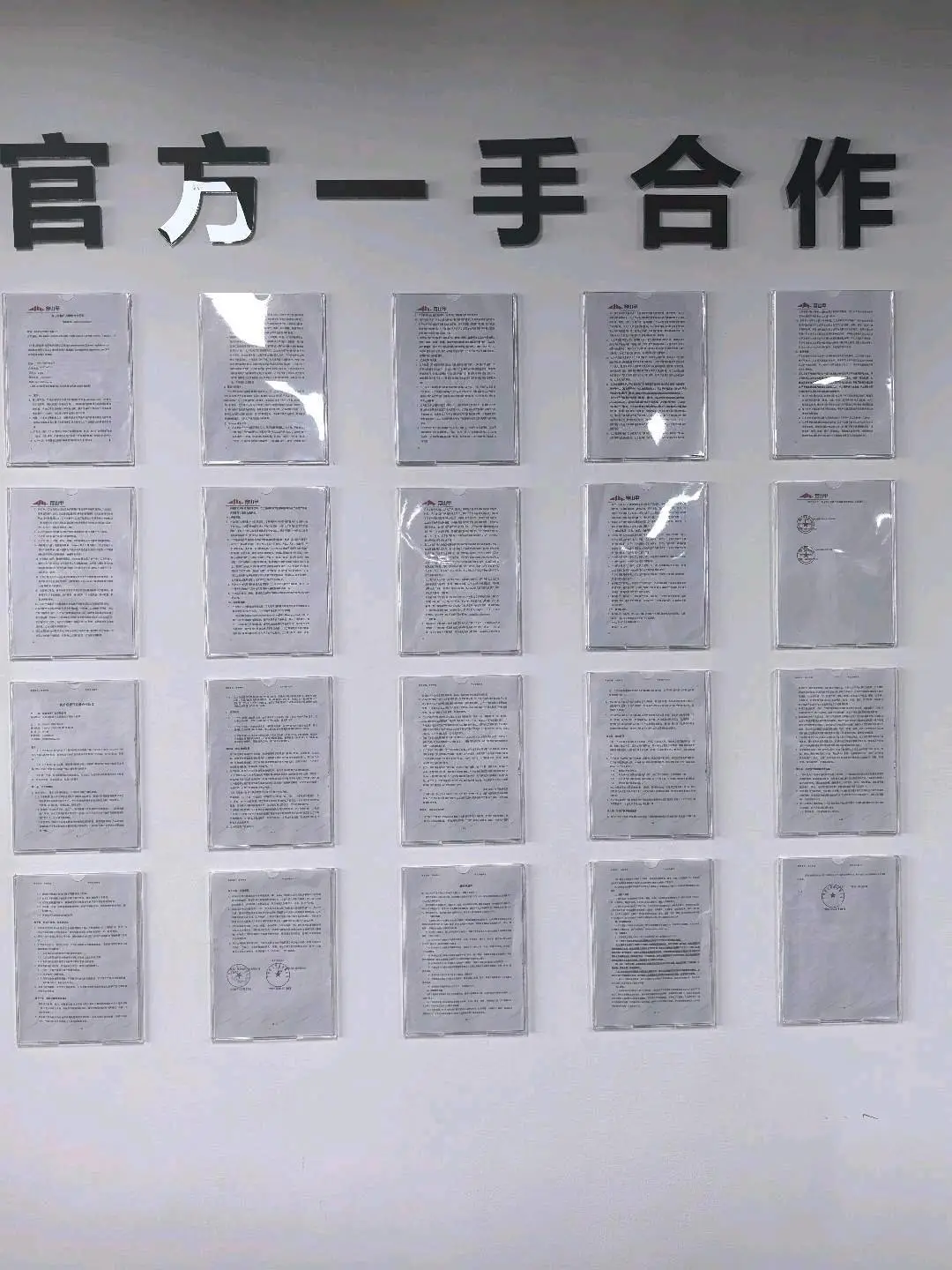 向嘉豪找合伙人广告变现