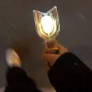 王松涛