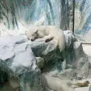 u客直谈实名认证赵朋飞