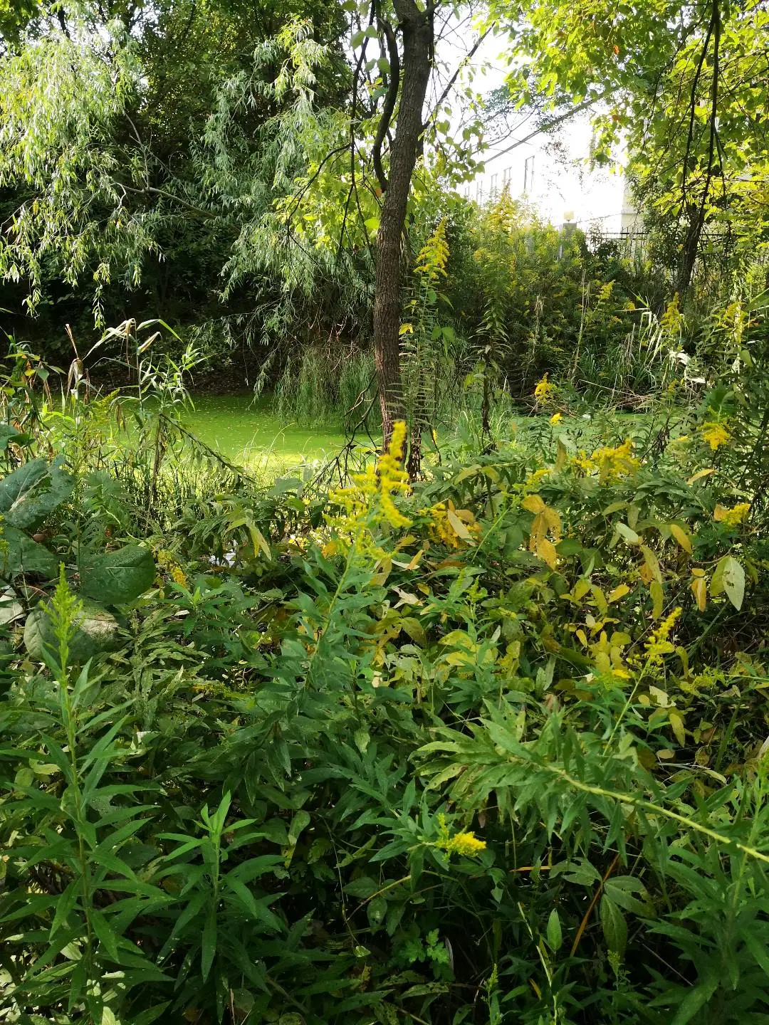 u客直谈实名认证王先生