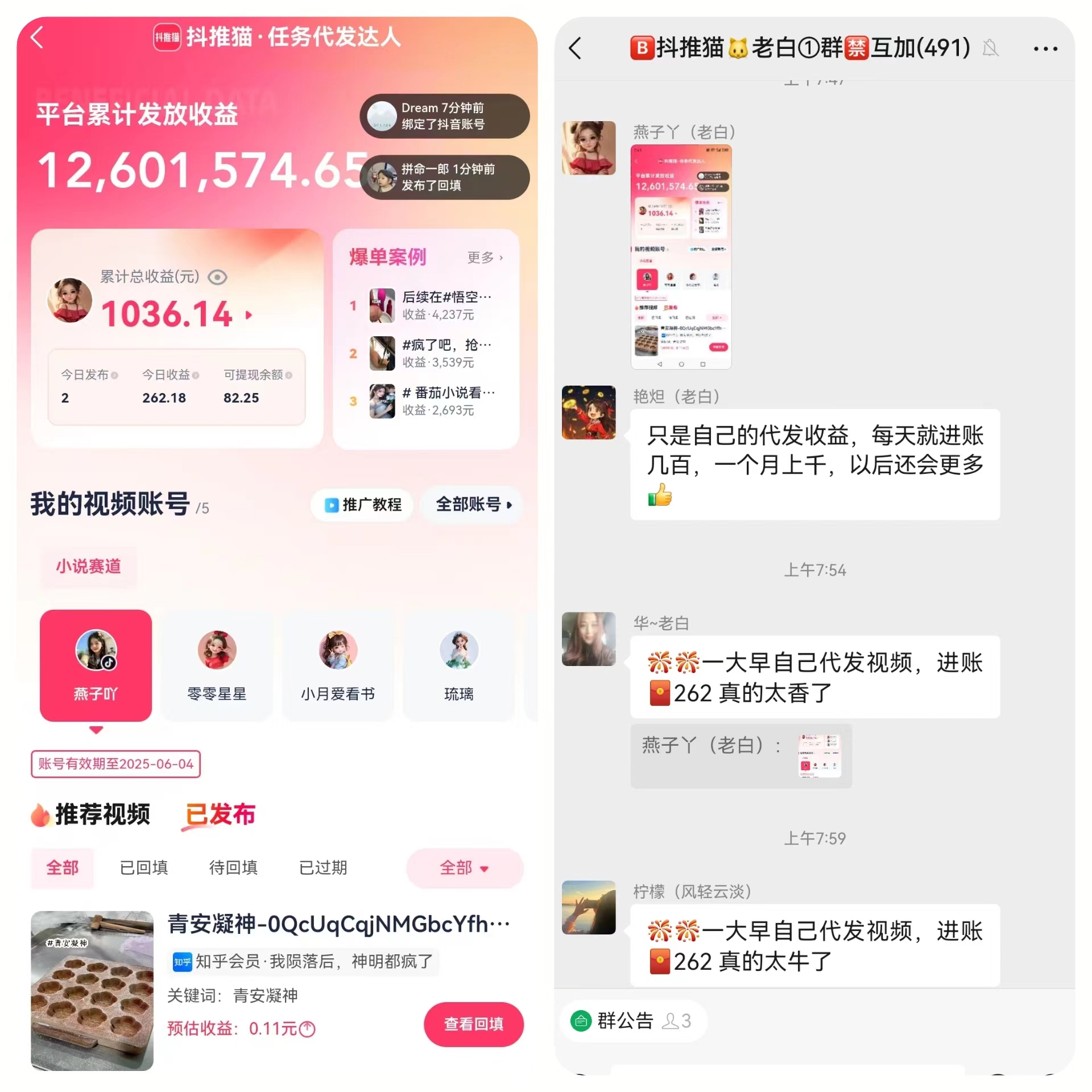 杨闯找合伙人抖推猫项目，个人，团队，管道收益，日结