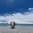 王贤衡
