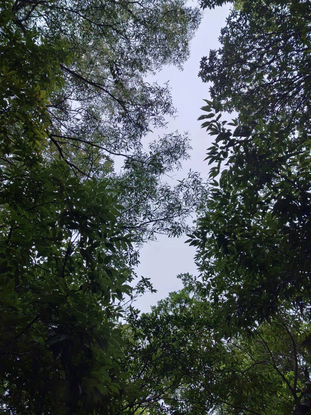 u客直谈实名认证刘女士