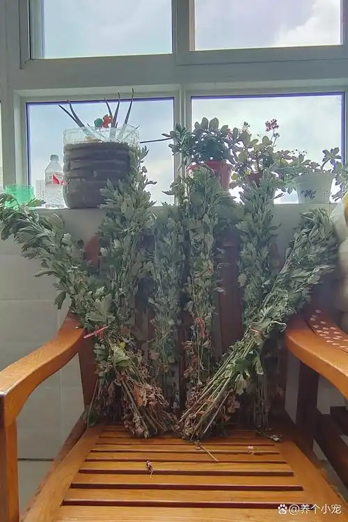 郝显东找合伙人端午节艾草束代理或推广合作