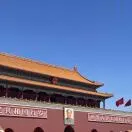 赵浩宇