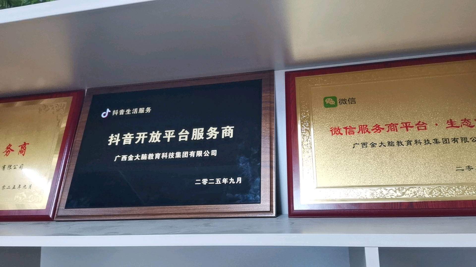 袁飞找合伙人抖音线下收款码推广