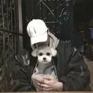 徐先生