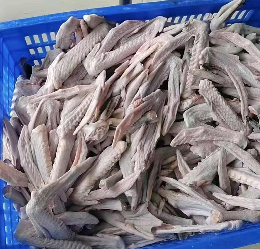 杨先生屠宰场每日供应新鲜鹅掌亦、白鸽、鸡脚、鸡腿、鸡翅膀、海南文昌鸡