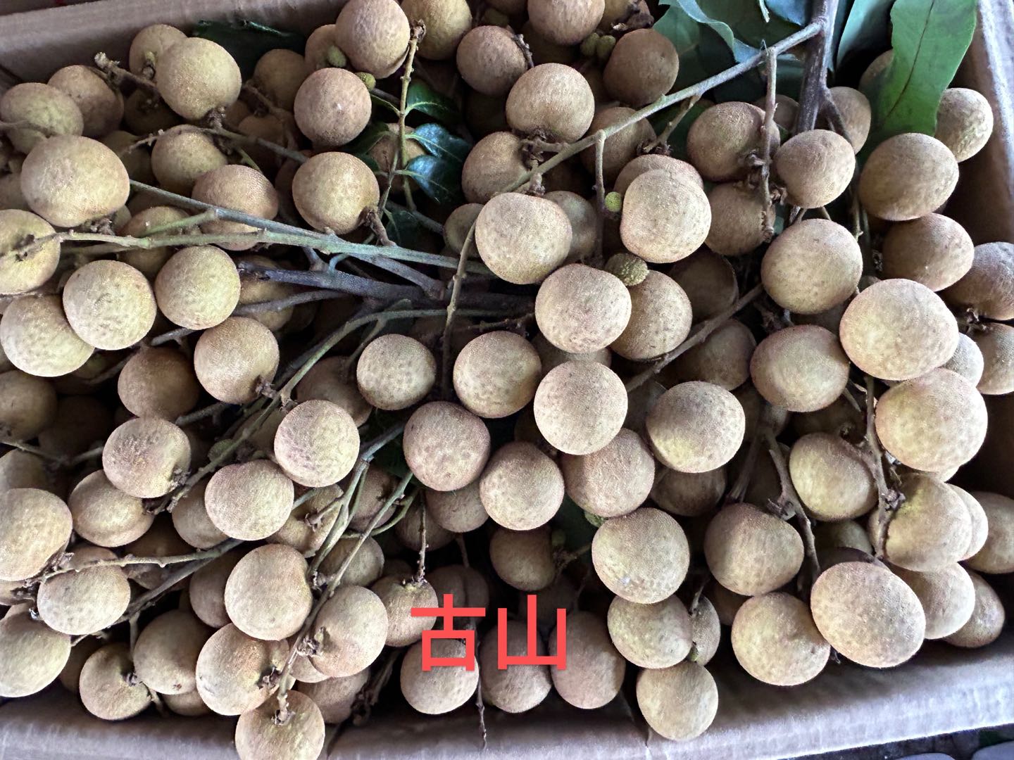 钟庆达品牌货源提供荔枝龙眼，采购商