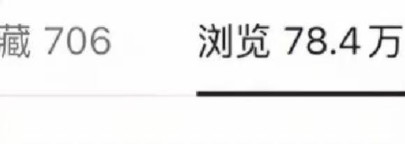 韩女士找合伙人免费带，小说推文全新玩法，单号日稳定*，可矩阵放大，佣金日结
