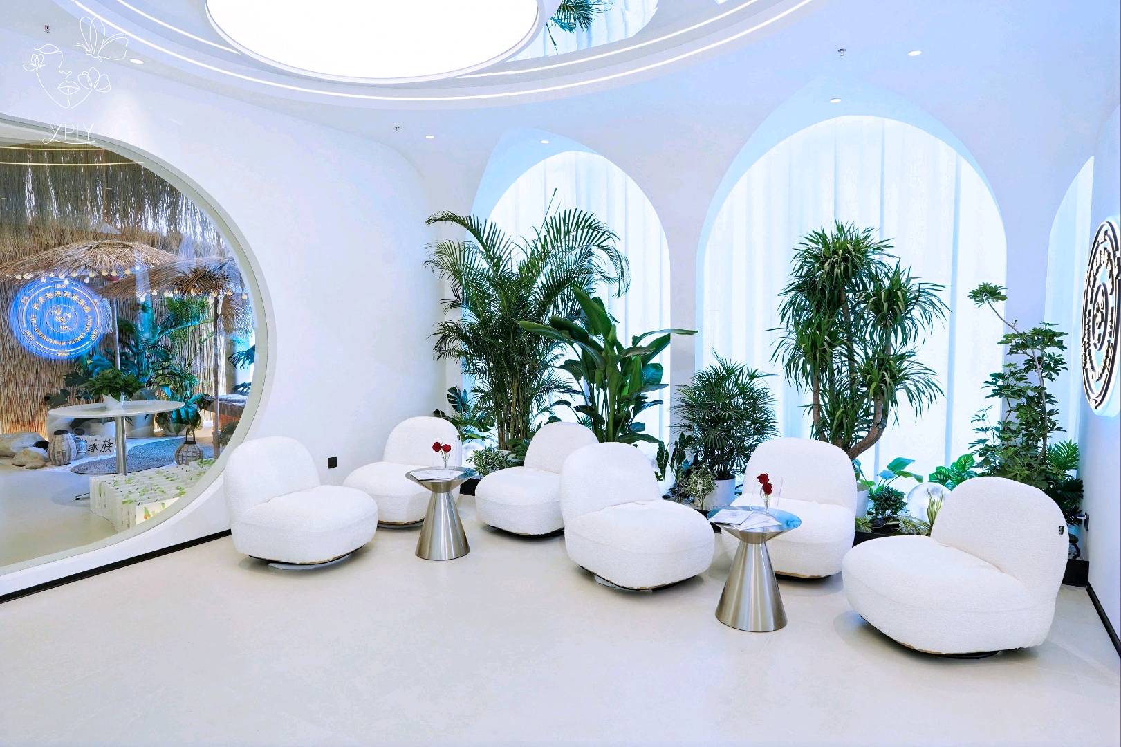 孙先生颜谱家族，美业20年招商，0加盟费0保证金0服务费