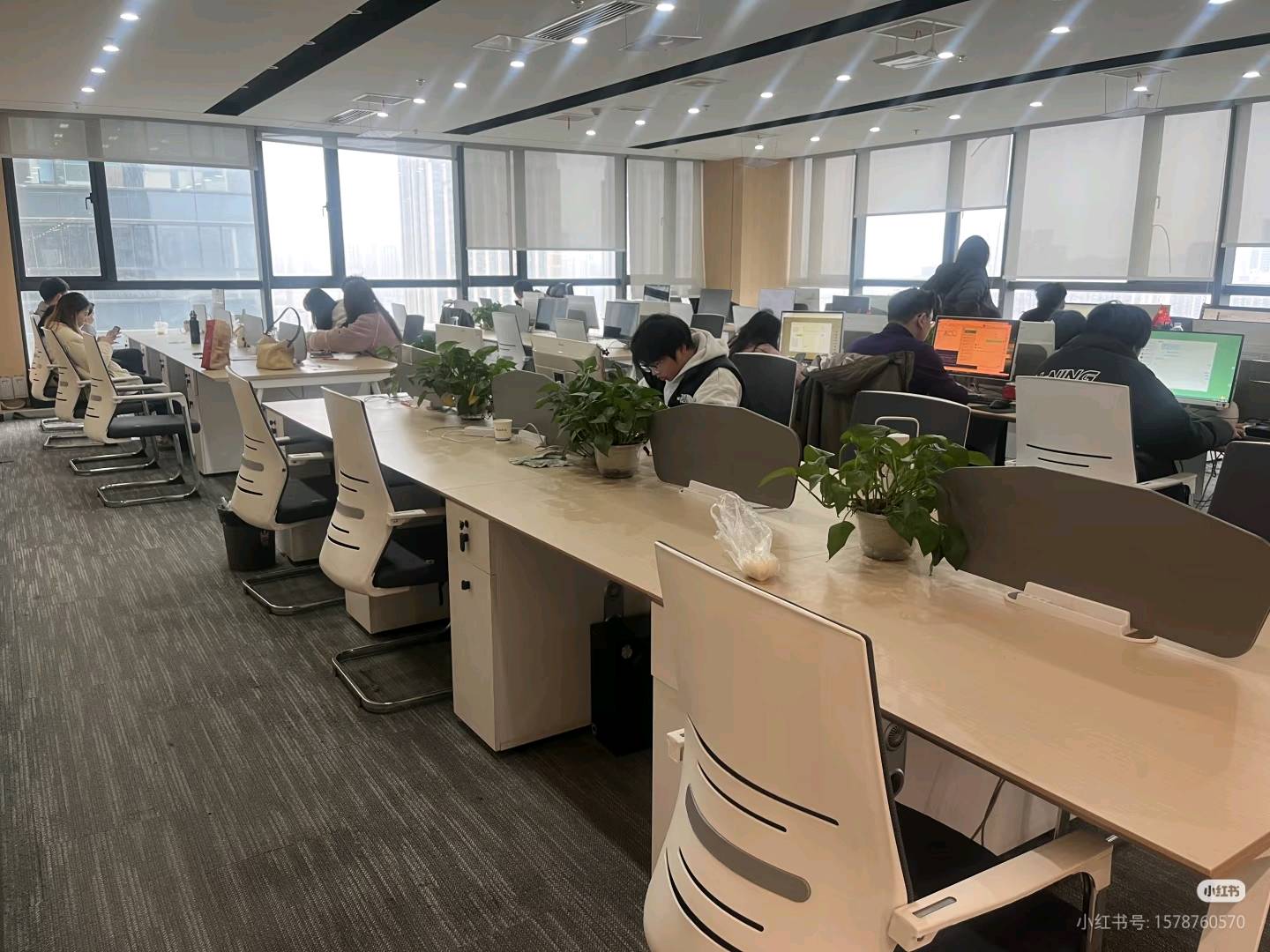 詹女士其他供需