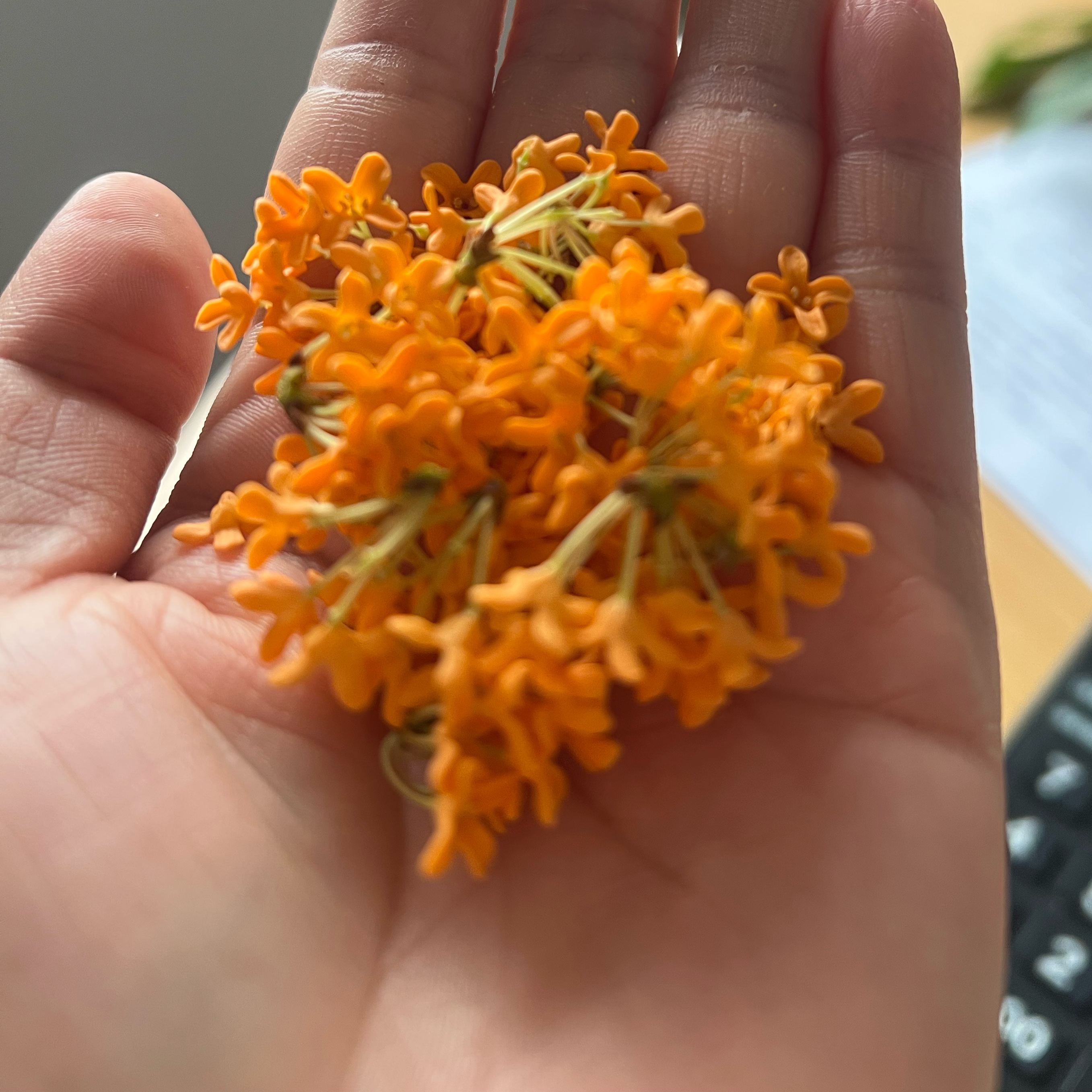 u客直谈实名认证梁女士