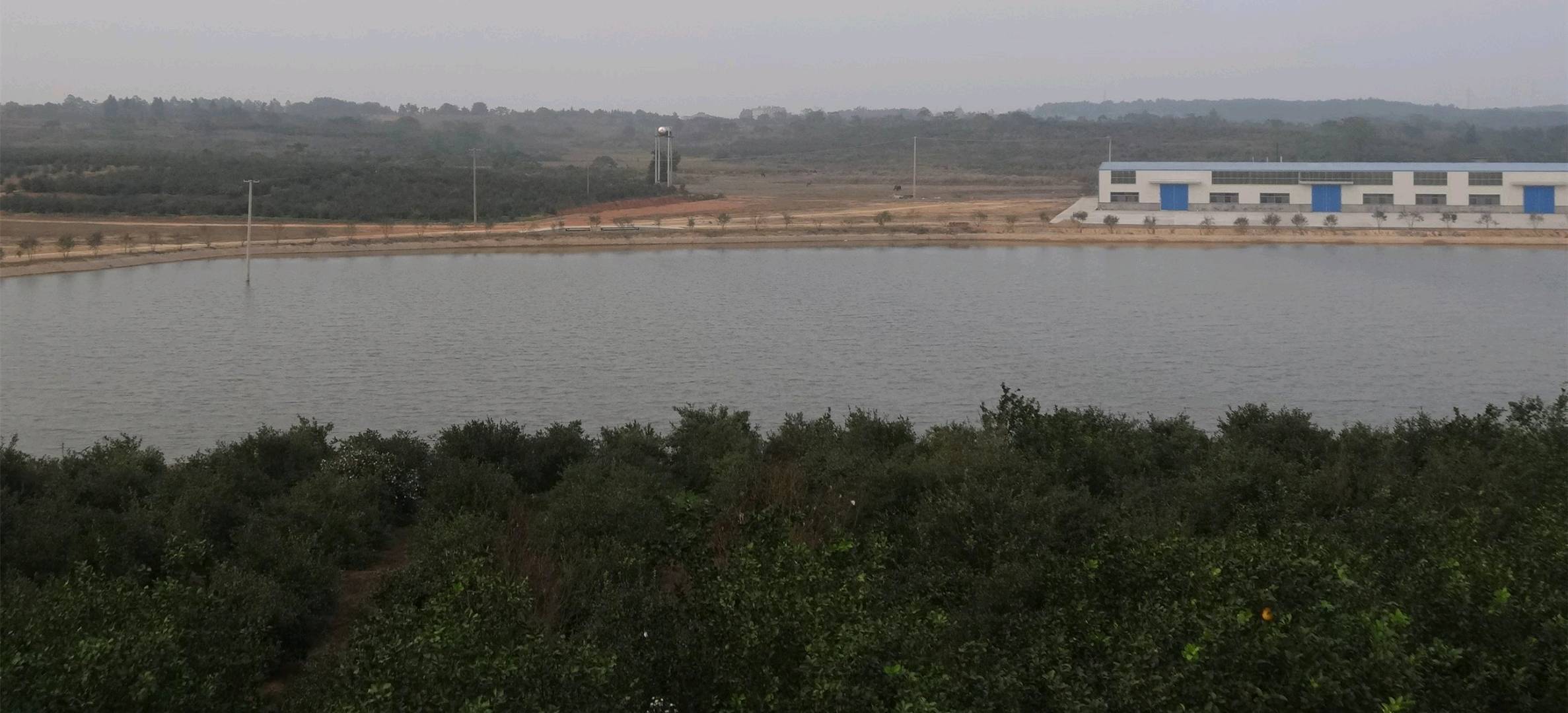 唐业青高端山茶油油厂，寻销售渠道，支持一件顺丰代发