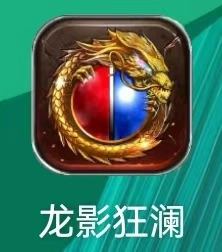 石女士找合伙人