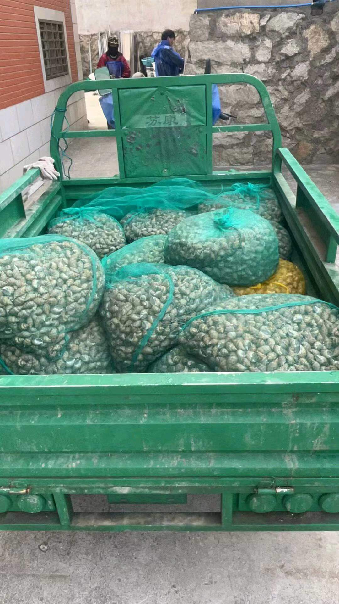 翁先生品牌货源