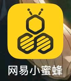 钟凌川地推项目网易小蜜蜂推广，19元一单