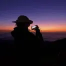 曹敏