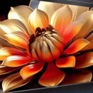 u客直谈实名认证卢书毅