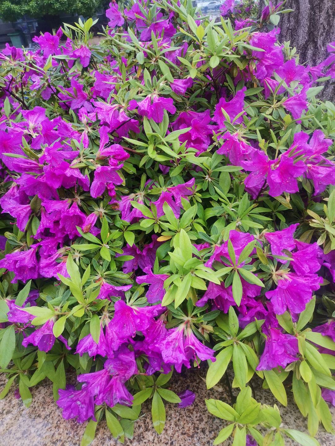 杨先生找合伙人火爆全网打金游戏，收益测试较为可观，提现稳定操作简单，长期稳定跟服的来