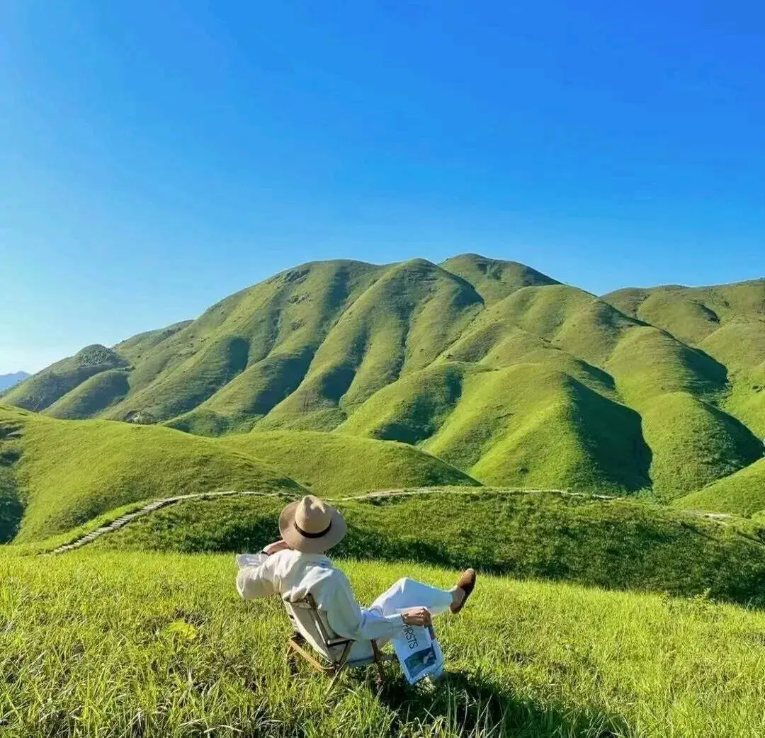 王府存地推项目官方直招,免费送出一张流量卡,利润150—300,0门槛0投资,无套路