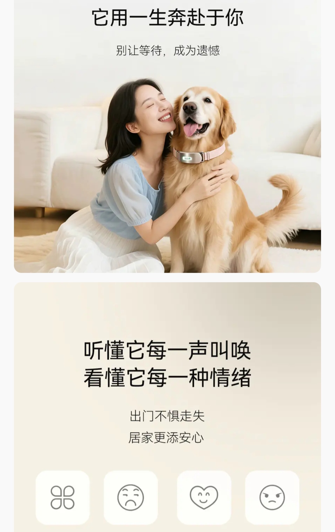 曹超地推项目宠物智能项圈人宠无障碍交流