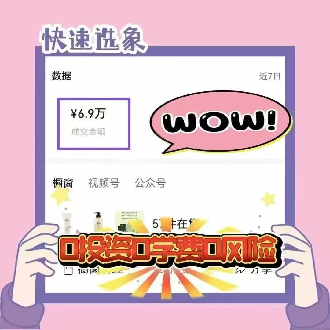 钟丽其他供需提供免费项目，无套路，手把手带，日结*