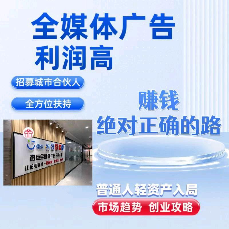 胡红蕊找合伙人互联网广告投放项目 