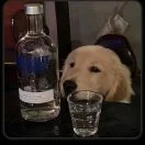 u客直谈实名认证晁先生