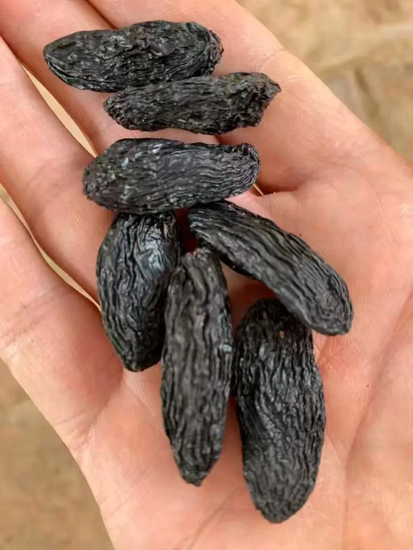 程先生品牌货源