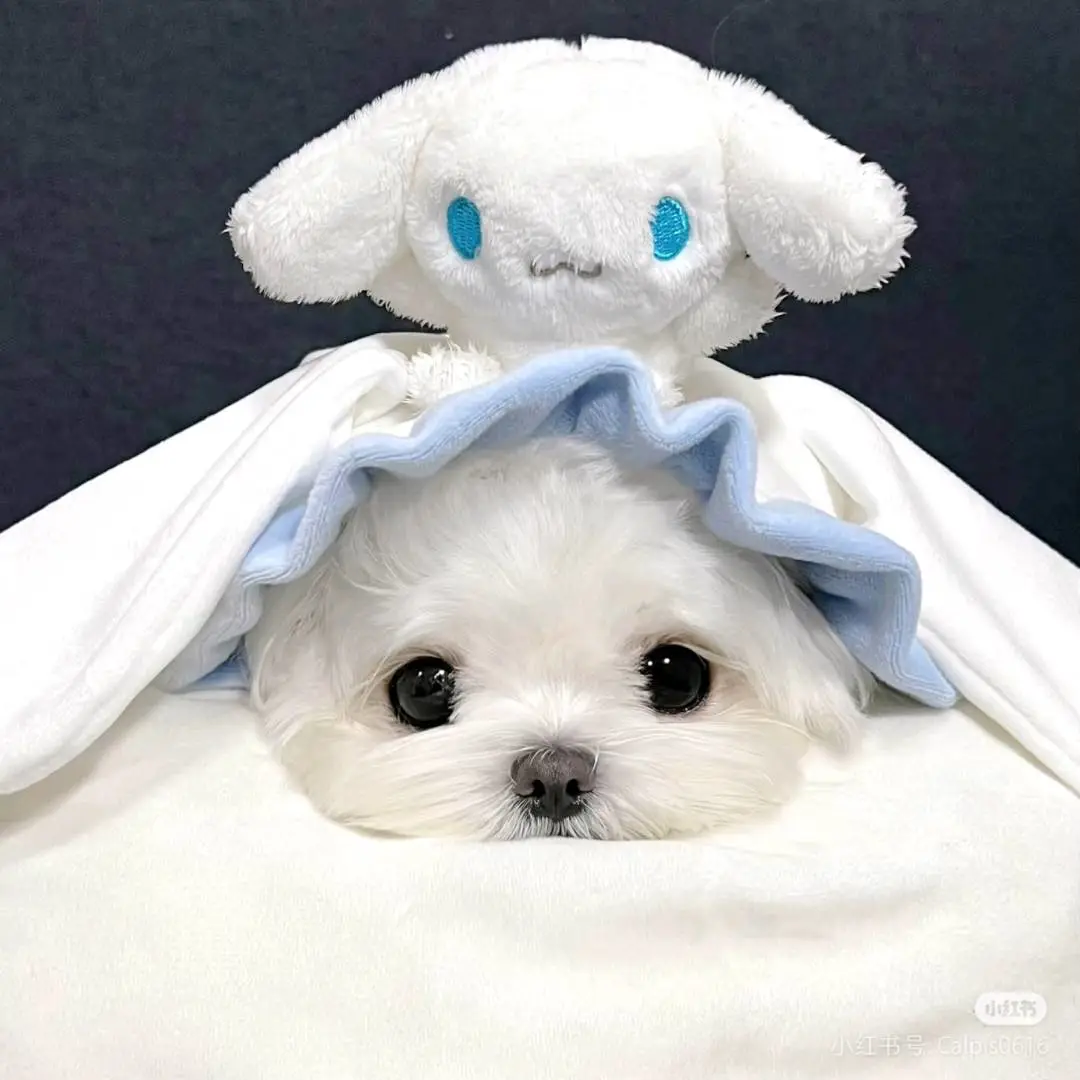 许雅宁