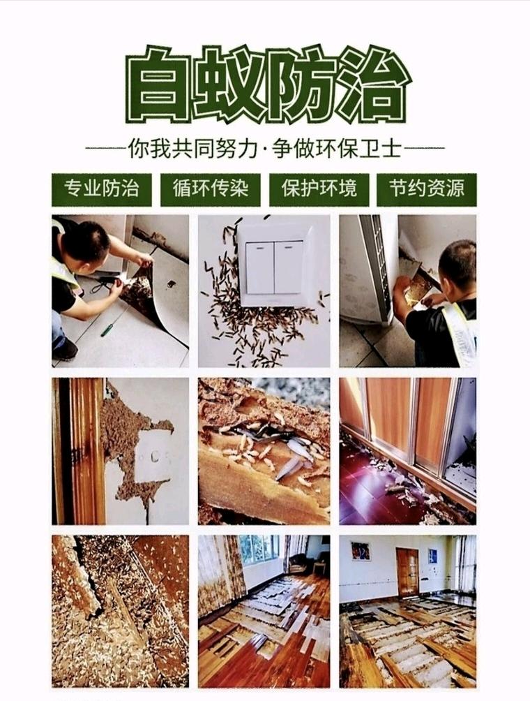 胡召云福建零基础创业消杀/白蚁/甲醛高毛利项目合伙人