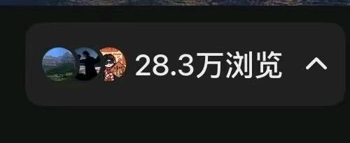 刘女士找合伙人小说推文，绿色正规项目，简单好上手！